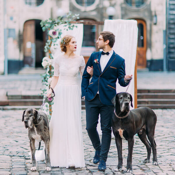 Bride & Groom with two dogs : How to include pets in your wedding ceremony.