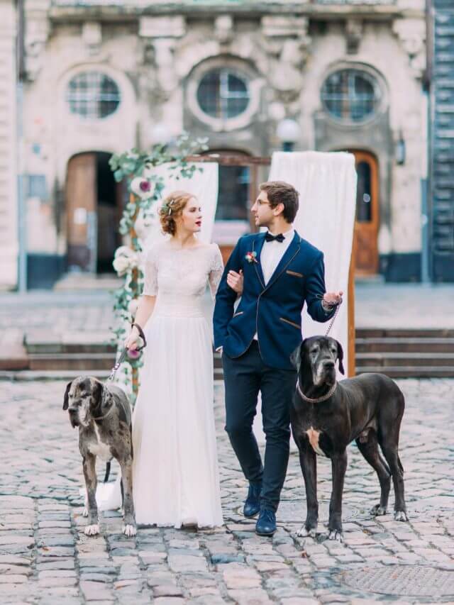 How to Include Pets in Your Wedding Ceremony